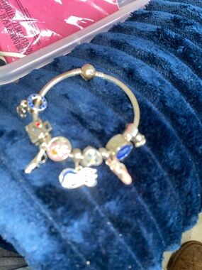 PRINCESS CRUISE CHARM BRACELET WITH 9  CHARMS